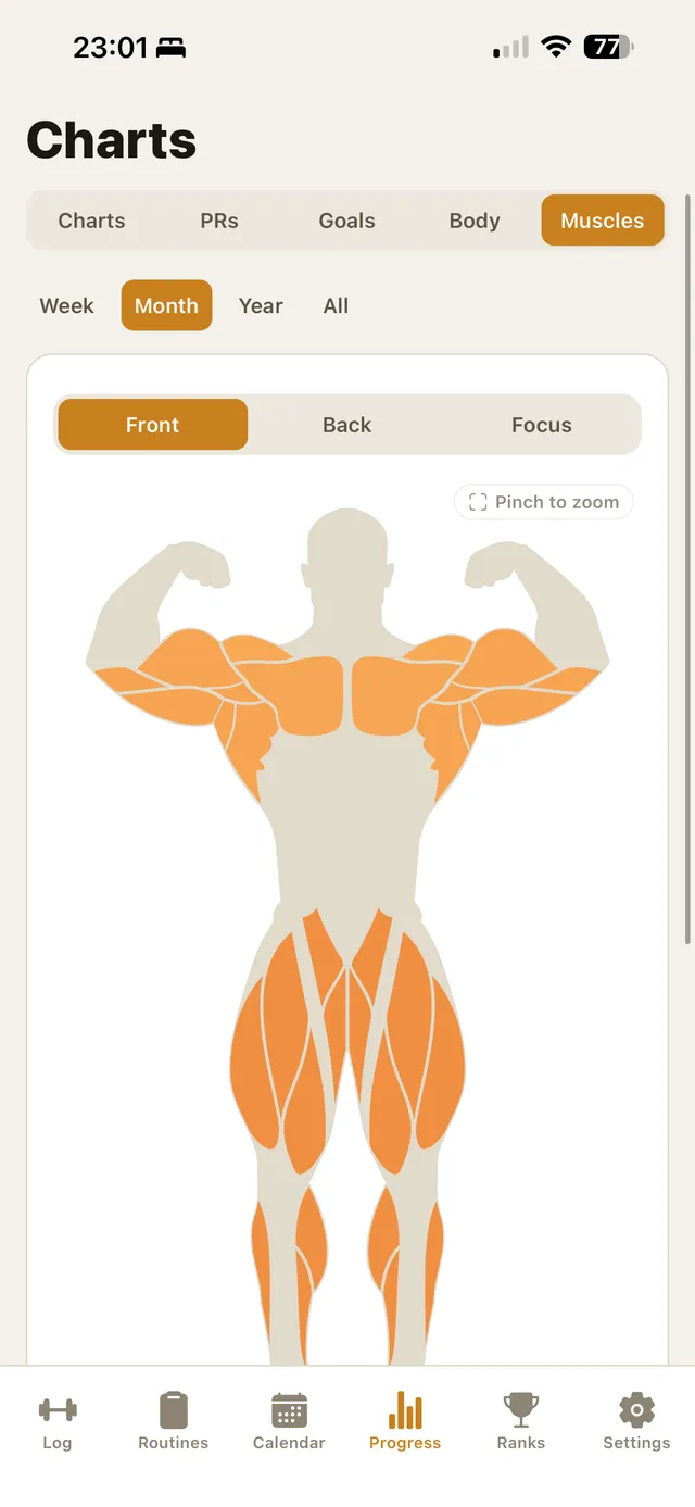 The muscle heatmap showing trained muscle groups