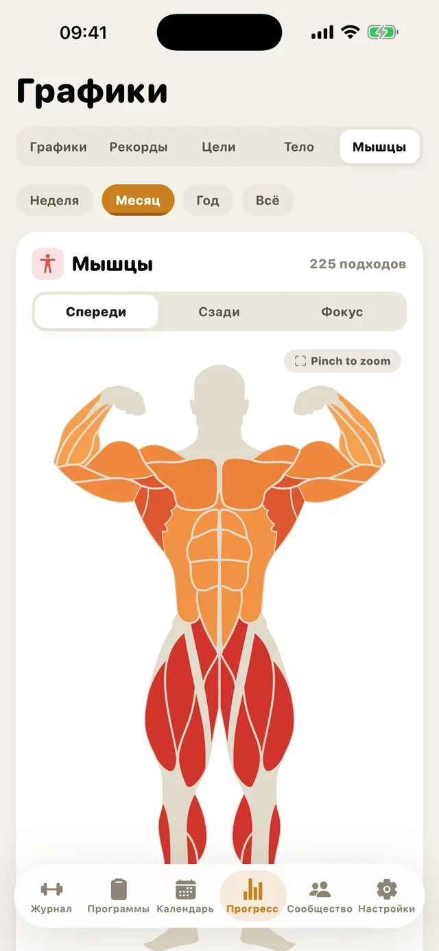 Тепловая карта мышц в GymMonster