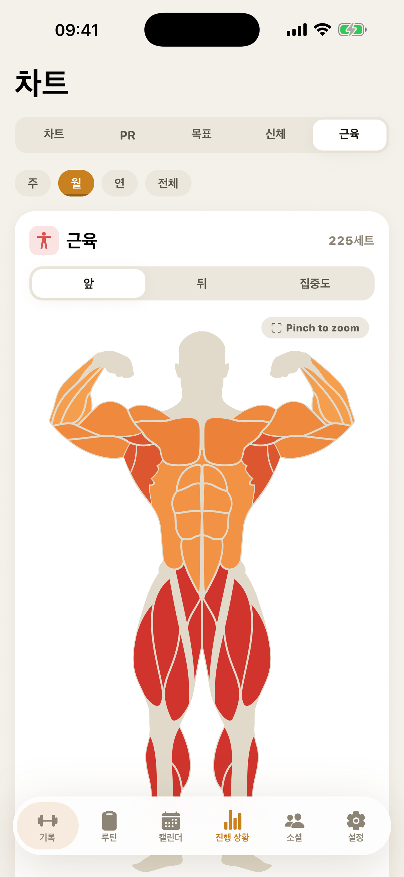 GymMonster — muscle heatmap showing trained muscle groups
