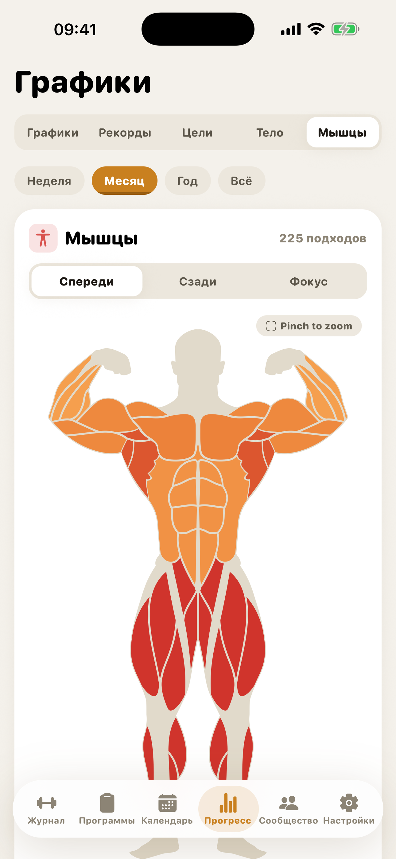 GymMonster — muscle heatmap showing trained muscle groups